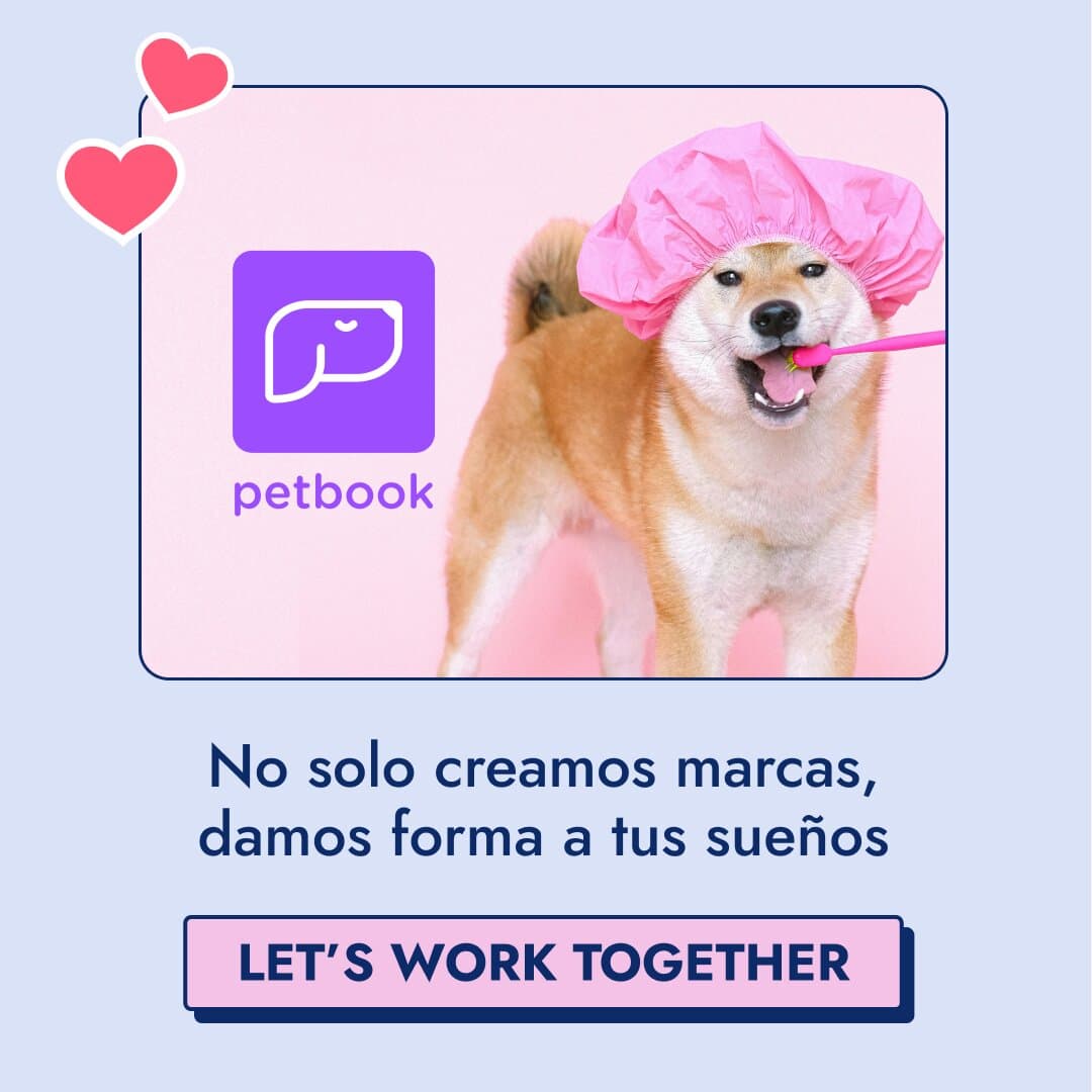 petbook: a shiba inu in a pink shower cap, and Let's work together.